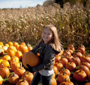 pumpkin-patch-ma-business